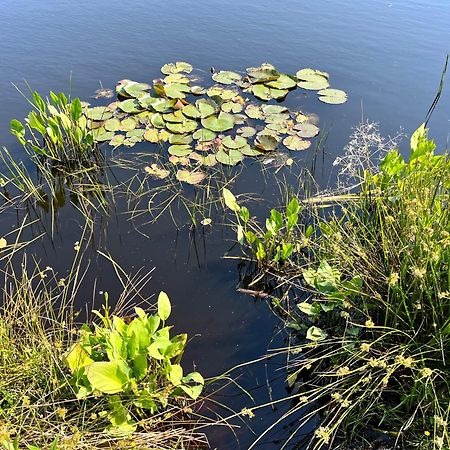 Landzicht Natuur Rust En Ruimte Oosterwolde  Exteriör bild