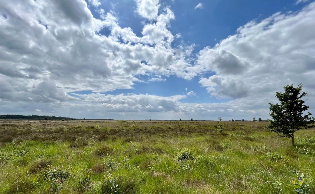 Landzicht Natuur Rust En Ruimte Oosterwolde  Exteriör bild