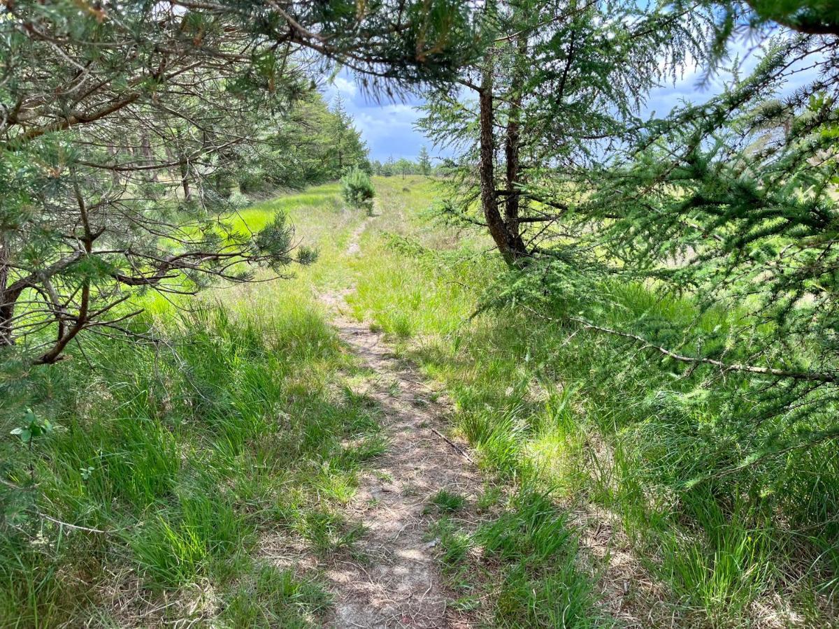 Landzicht Natuur Rust En Ruimte Oosterwolde  Exteriör bild