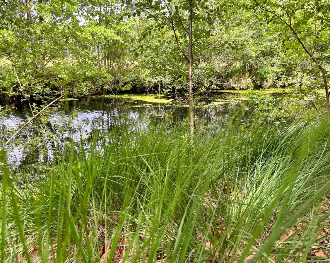 Landzicht Natuur Rust En Ruimte Oosterwolde  Exteriör bild