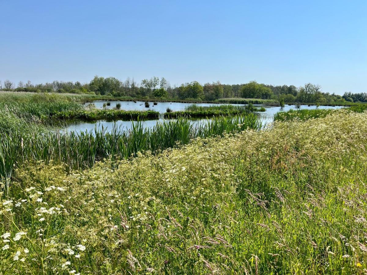Landzicht Natuur Rust En Ruimte Oosterwolde  Exteriör bild