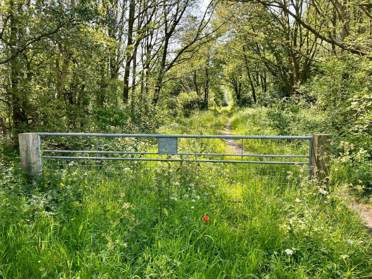 Landzicht Natuur Rust En Ruimte Oosterwolde  Exteriör bild