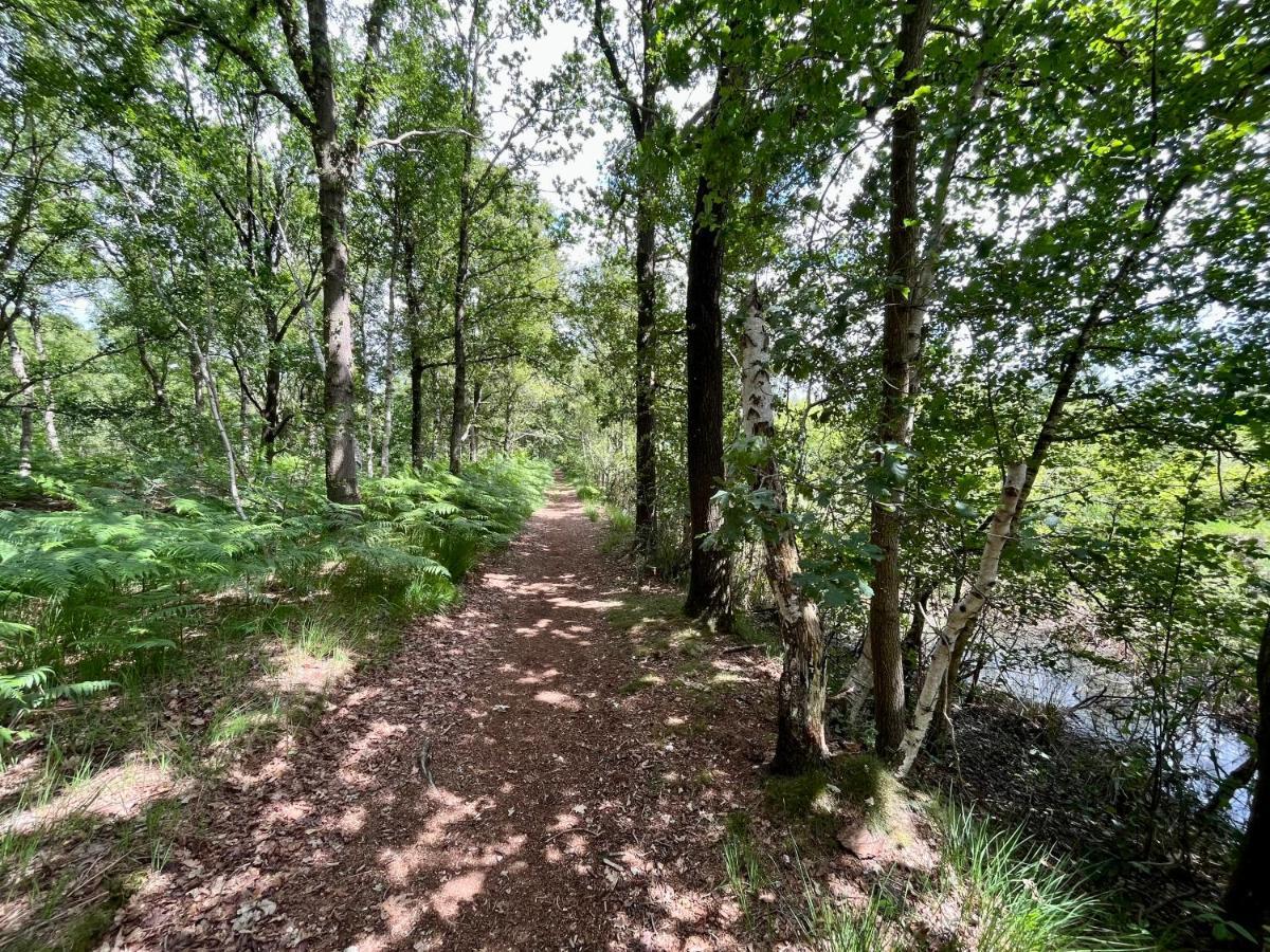 Landzicht Natuur Rust En Ruimte Oosterwolde  Exteriör bild