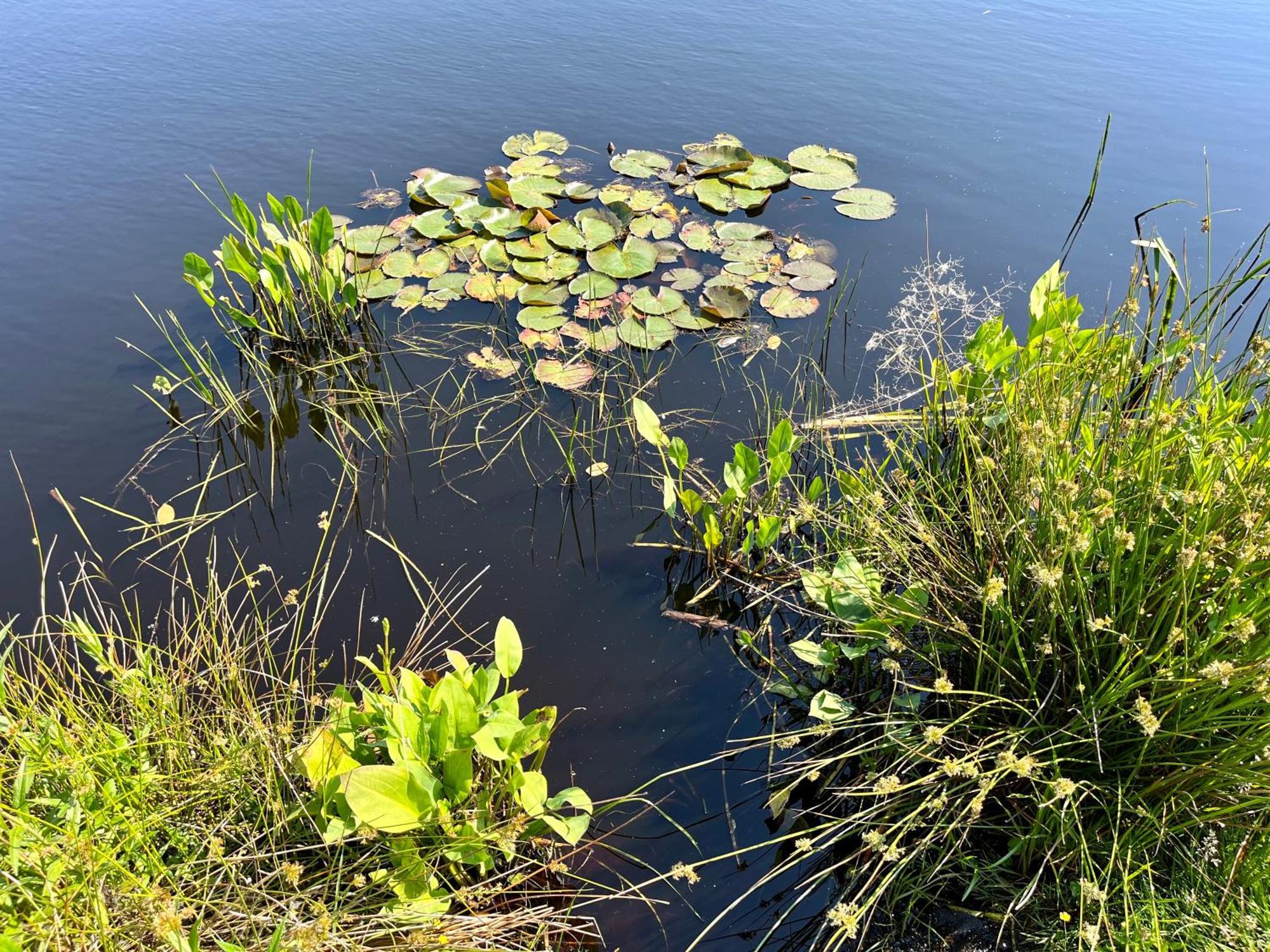 Landzicht Natuur Rust En Ruimte Oosterwolde  Exteriör bild