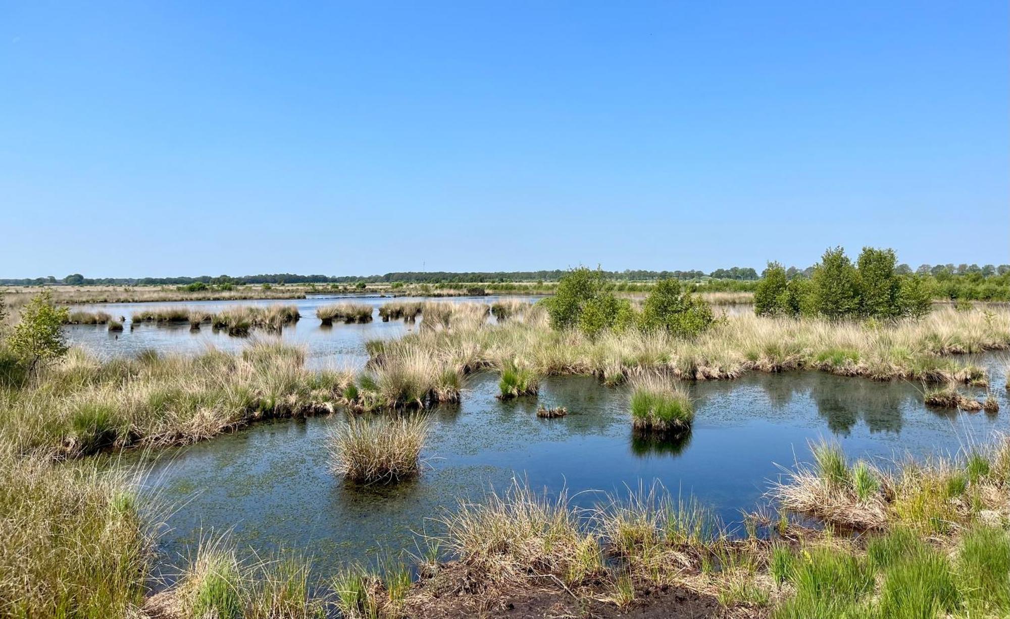 Landzicht Natuur Rust En Ruimte Oosterwolde  Exteriör bild