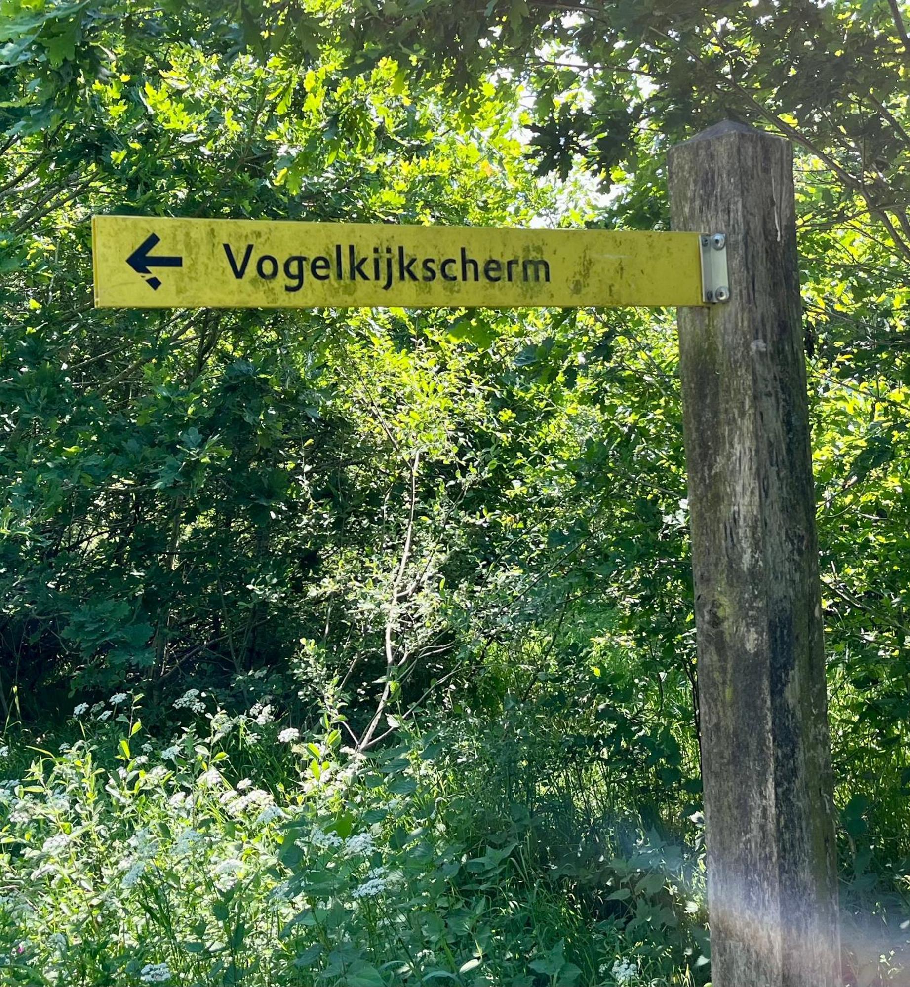 Landzicht Natuur Rust En Ruimte Oosterwolde  Exteriör bild