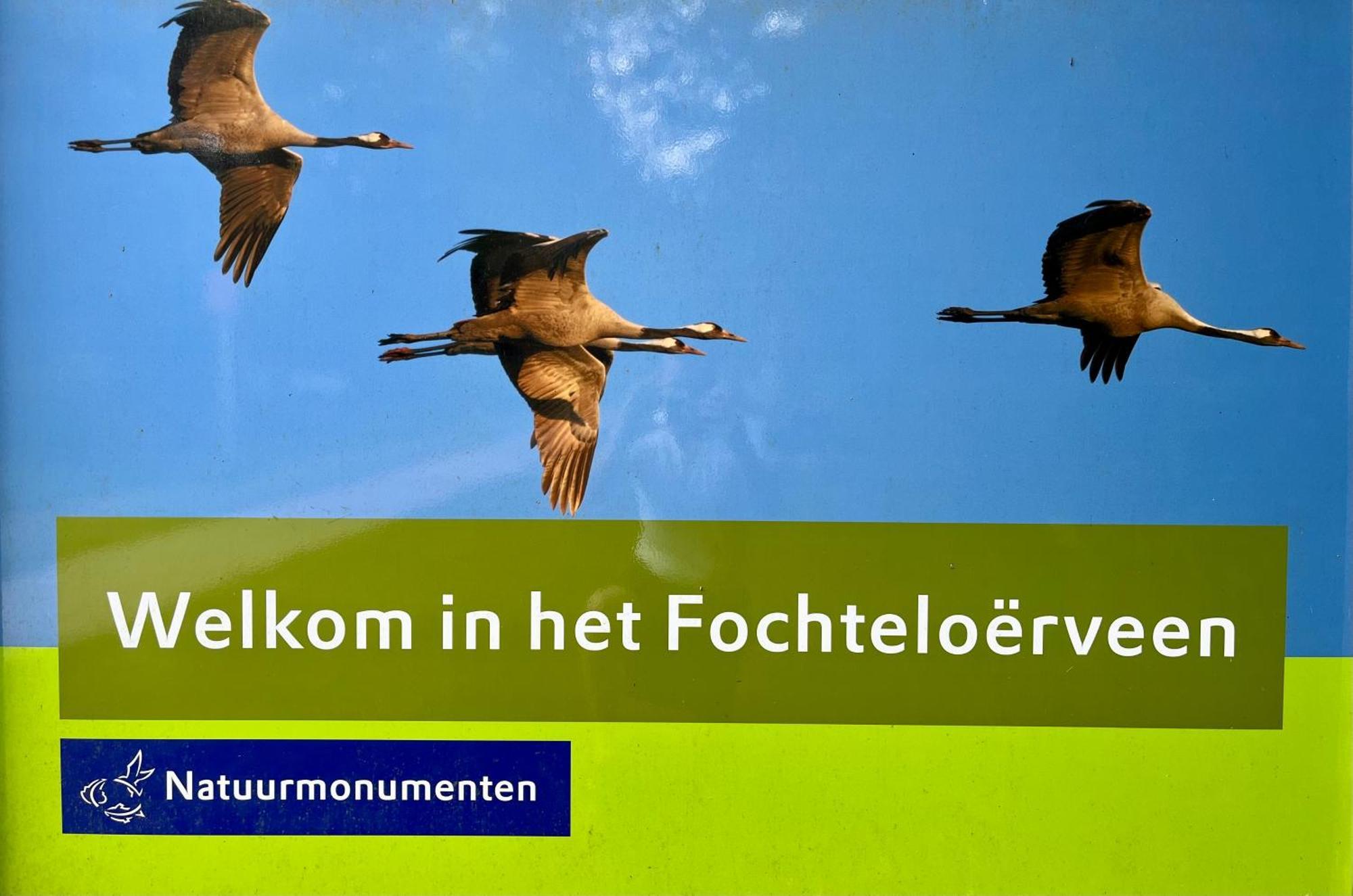 Landzicht Natuur Rust En Ruimte Oosterwolde  Exteriör bild