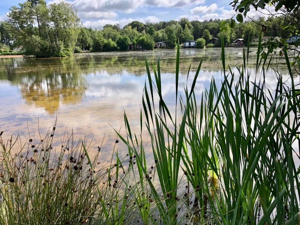 Landzicht Natuur Rust En Ruimte Oosterwolde  Exteriör bild
